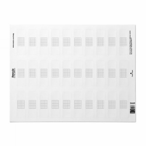 Guitar Chord Chart Fret Board Gray Template Label