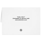 Guitar Colors Cards (Back Horizontal)