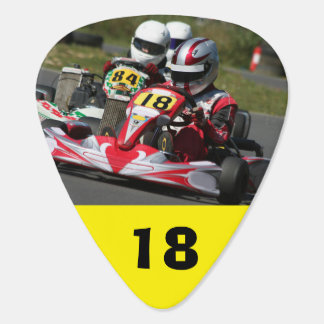 Guitar pick plectrum minimax go kart karting rotax
