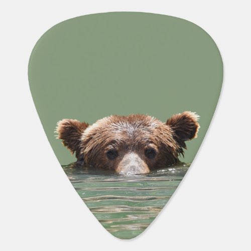 Guitar pick w grizzly bear and cubs
