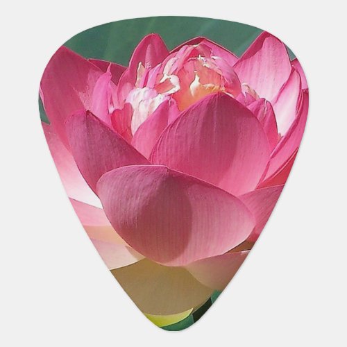 Guitar Picks _ Pink Lotus