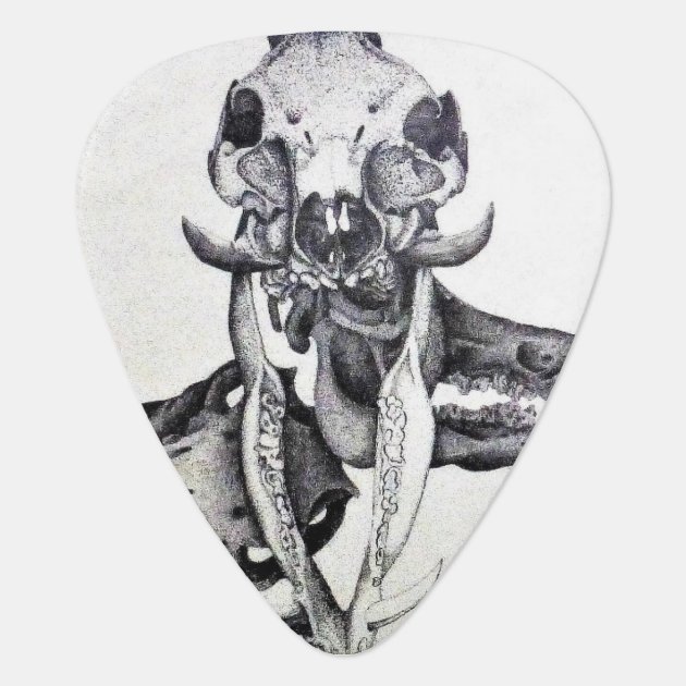 Boar Skulls Stock Illustrations – 7 Boar Skulls Stock Illustrations,  Vectors & Clipart - Dreamstime