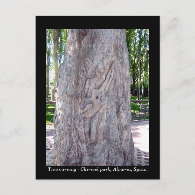 Guitar player tree carving postcard - Spain (Front)