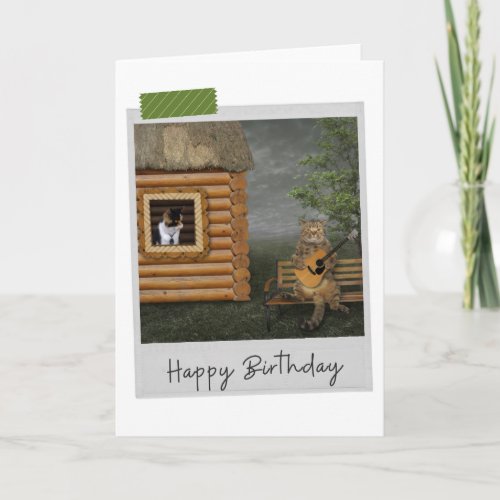 Guitar Serenade Cats Funny Birthday Card