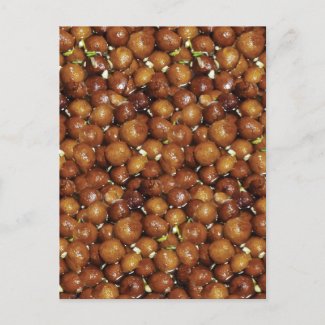 Gulab Jamun Dessert Sweet Food Pattern