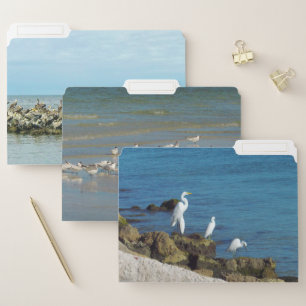 Gulf Coast Birds File Folder
