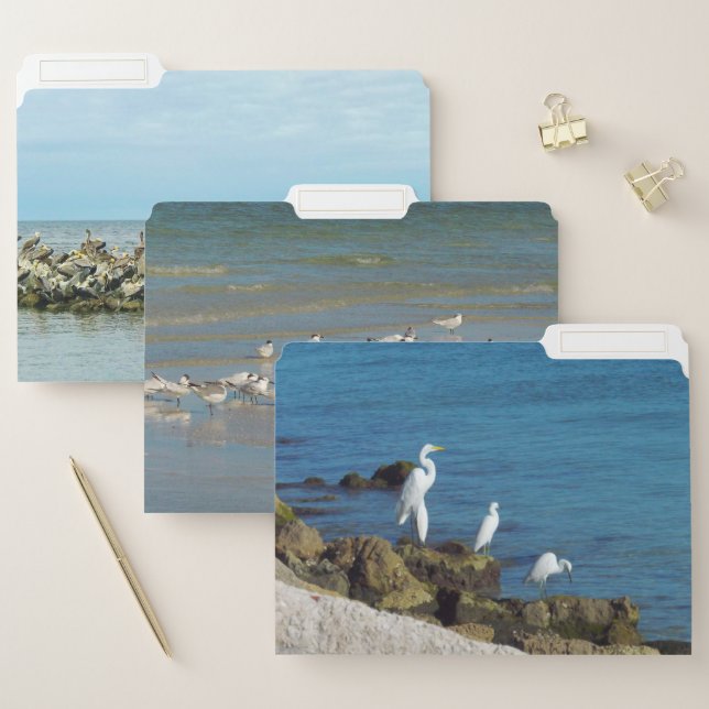 Gulf Coast Birds File Folder (Set)