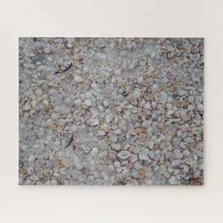 Gulf Coast Seashells Beach Puzzle