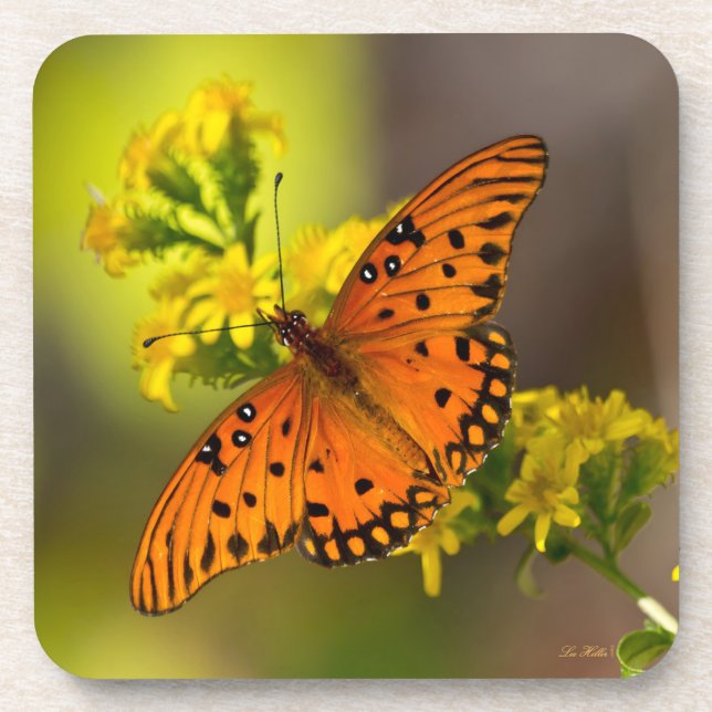 Gulf Fritillary aka Passion Butterfly on Goldenrod Beverage Coaster (Front)