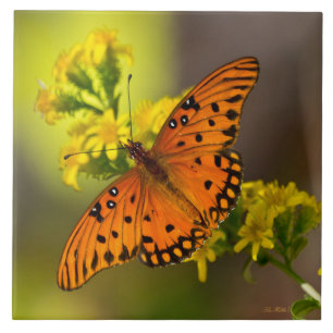 Gulf Fritillary aka Passion Butterfly on Goldenrod Ceramic Tile