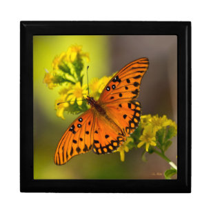 Gulf Fritillary aka Passion Butterfly on Goldenrod Gift Box