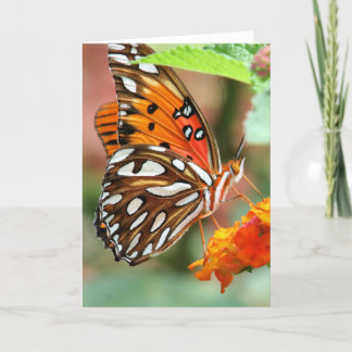 Gulf Fritillary Butterfly Card
