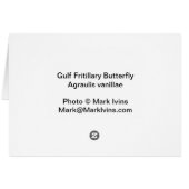 Gulf Fritillary Butterfly Cards (Back Horizontal)