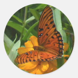 Gulf Fritillary Butterfly Stickers