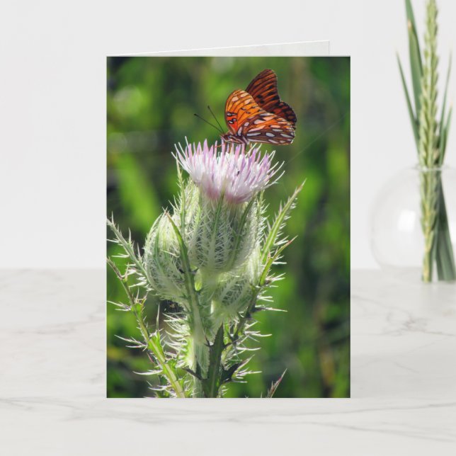 Gulf Fritillary on Thistle Flower Birthday Card (Front)