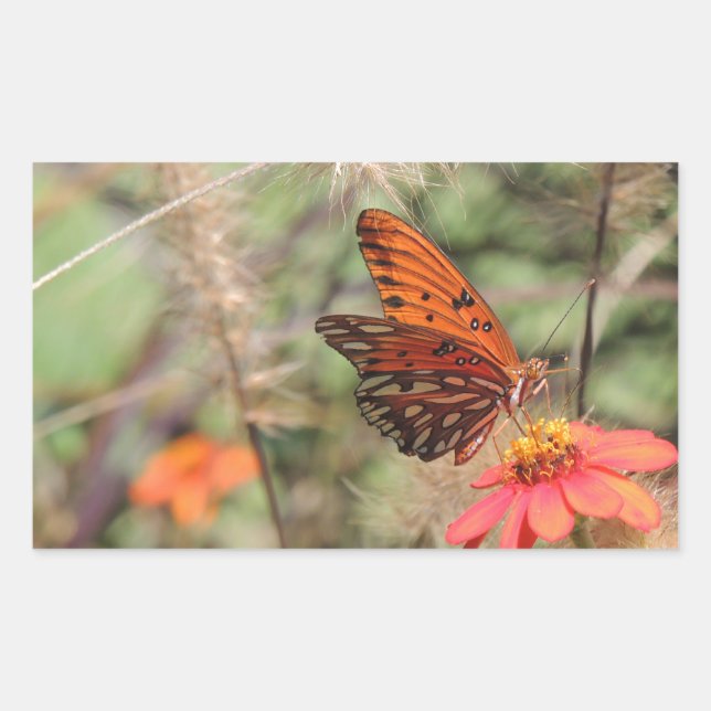 Gulf Fritillary on Zinnia Rectangular Sticker (Front)