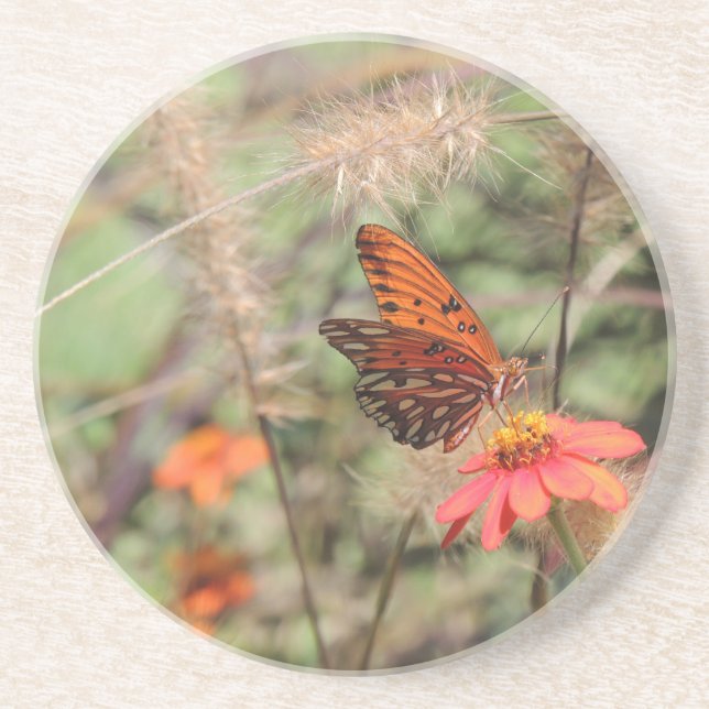 Gulf Fritillary on Zinnia Sandstone Coaster (Front)