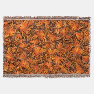 Gulf fritillary or Passion butterflies orange