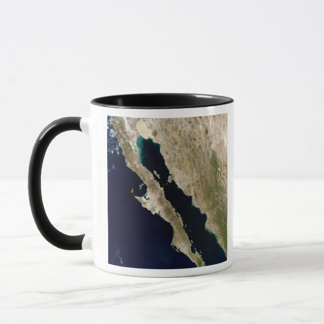 Gulf of California Mug (Left)