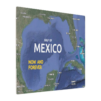 Gulf of Mexico Metal Print