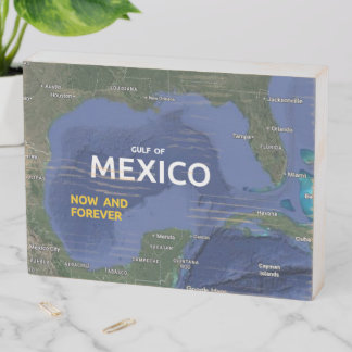 Gulf of Mexico Wooden Box Sign