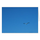 Gull (Front Horizontal)