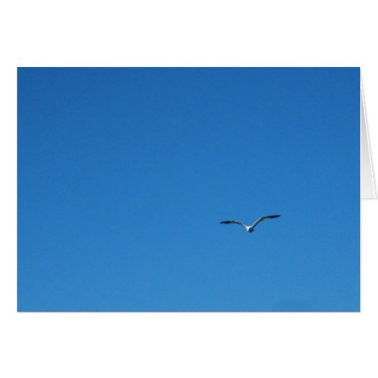 Gull (Front Horizontal)