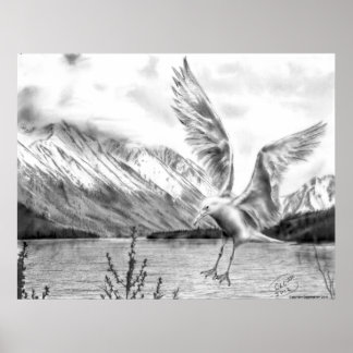 Gull and Mountains Poster