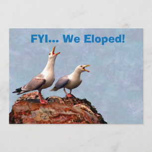 Gull Announcement We Eloped