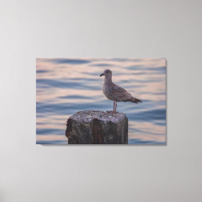 Gull at Dusk  Canvas Print (Front)