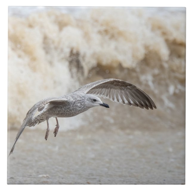 Gull Bird Flying   Ceramic Tile (Front)