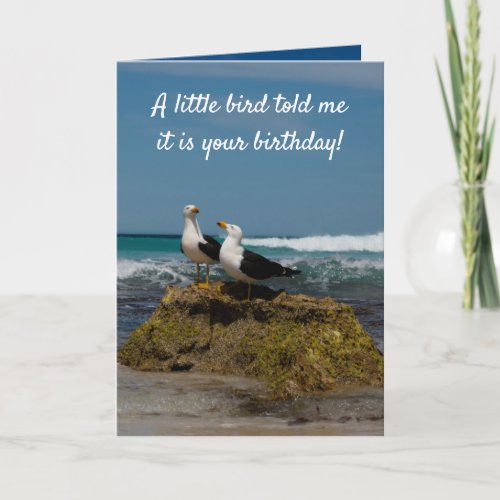 Gull Bird Secluded Beach in Paradise Birthday Card