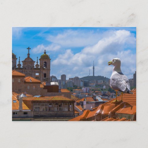 Gull Birds Eye View Rooftops of Portugal Postcard