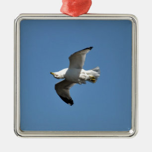 Gull Flying Upside Down Funny Wildlife Photography Metal Ornament