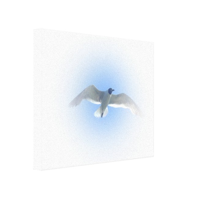 Gull in Flight 2 Wrapped Canvas