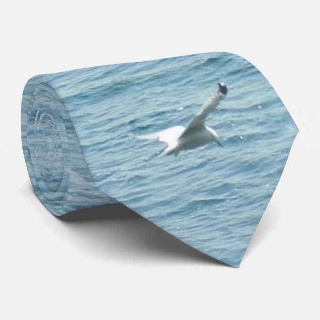 GULL IN FLIGHT  NECK TIE (Rolled)