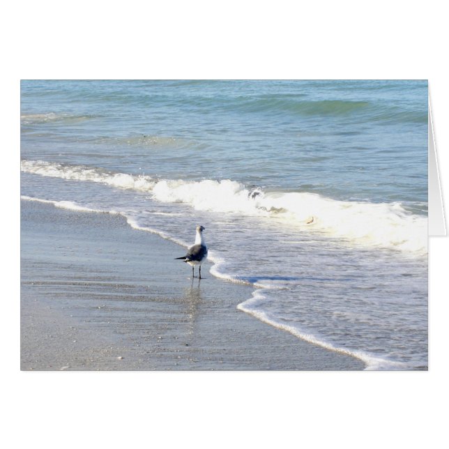 Gull in the Surf Cards (Front Horizontal)