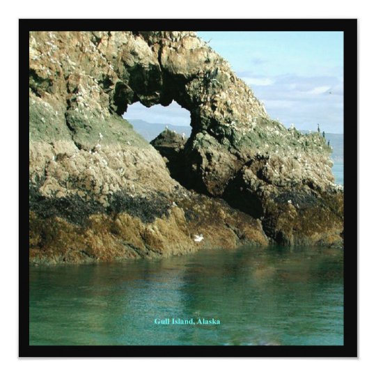 Gull Island, Alaska Card