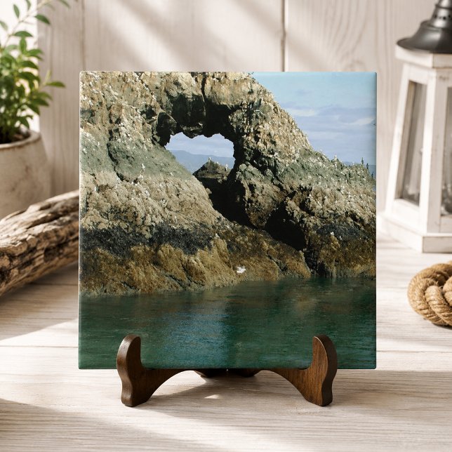 Gull Island, Alaska Ceramic Tile (Gull Island, Alaska Ceramic Tile)