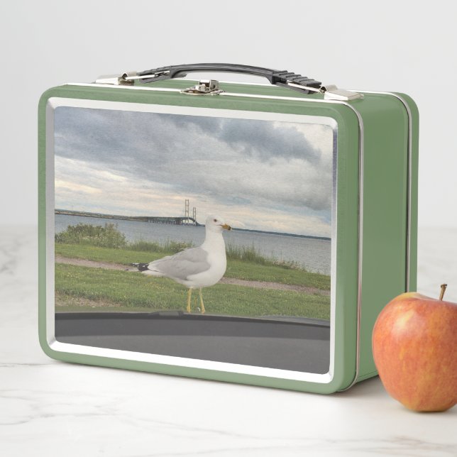 Gull Metal Lunch Box (In Situ)