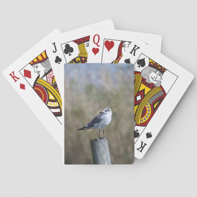 Gull on Post Poker Cards (Back)