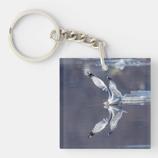 Gull Reflections Keychain (Front)