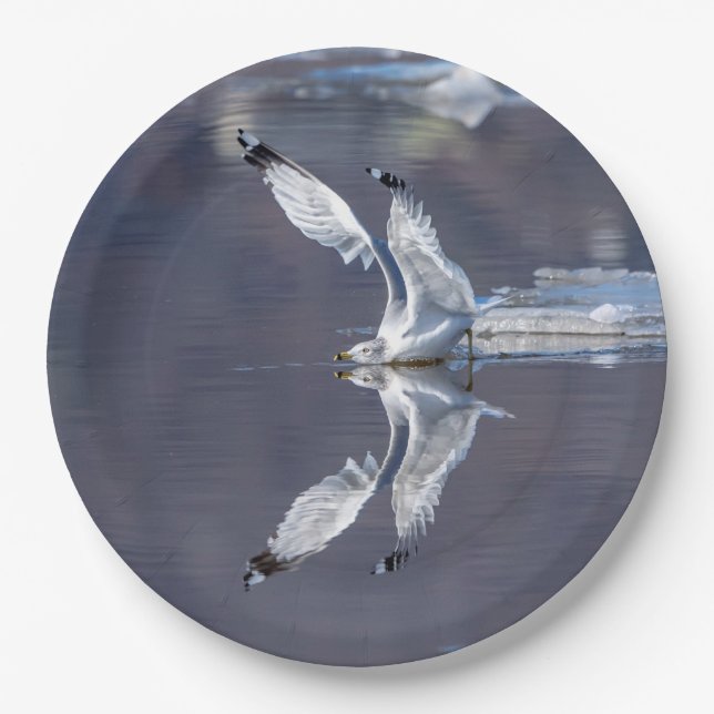 Gull Reflections Paper Plates (Front)
