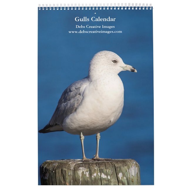 Gulls 2026 calendar (Cover)