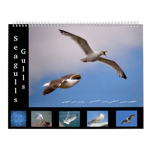 Gulls and Seagulls 12 month calendar