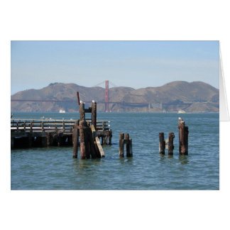 Gulls at San Francisco Bay Pier Cards