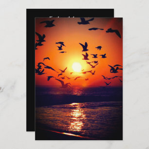 Gulls at Sunset Photo Orange and Black Wedding Invitation