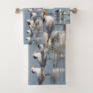 Gulls at the beach
