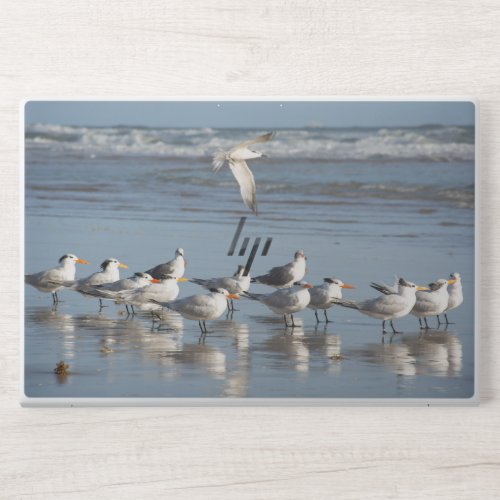 Gulls at the Florida beach HP Laptop Skin