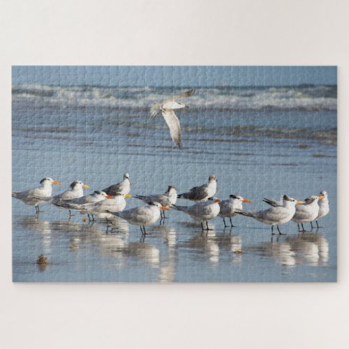 Gulls at the Florida beach Jigsaw Puzzle